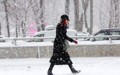 aGFzaD1hODMwNmU0ZTE1NWQyZGJmNGQyZjc5ODM5N2ZhZGQ1OQ.thumb_.jpg - ReactMedia