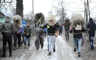 agerpres_9349822.jpeg - ReactMedia