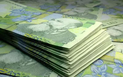 bani-romani-leu-ron_bh0M5.webp.webp - ReactMedia