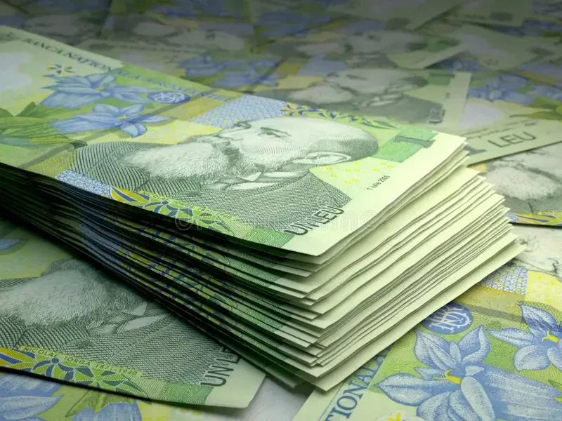 bani-romani-leu-ron_bh0M5.webp.webp - ReactMedia