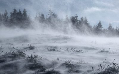 cod-galben-viscol-munte-iarna-ninsoare-e1643266955426.jpg - ReactMedia