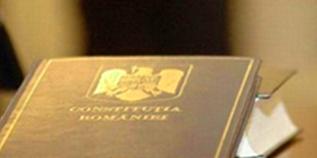 constitutie.png - ReactMedia