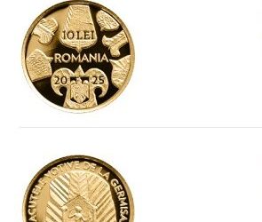 germisara-1-e1766993581866.jpg - ReactMedia