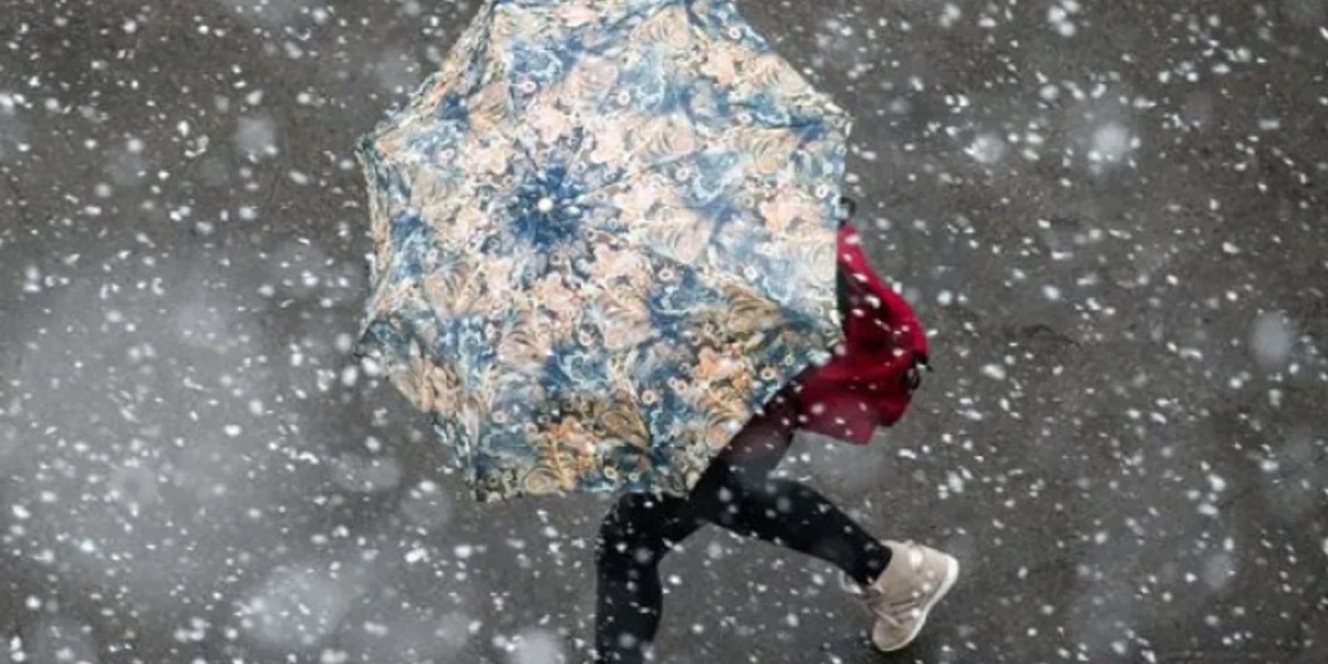 1767374602-2635-large.webp.webp - ReactMedia