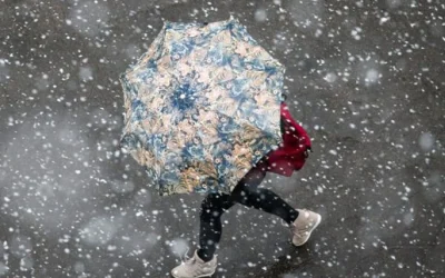 1767374602-2635-large.webp.webp - ReactMedia