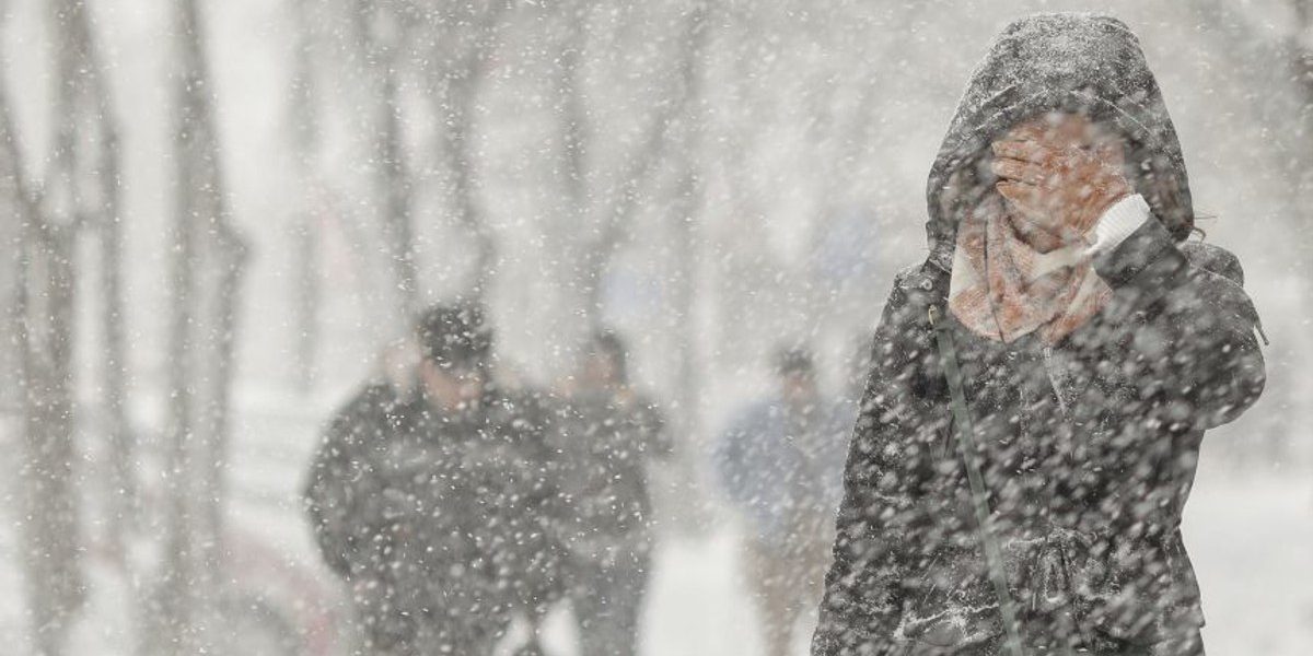 1769492766_index.jpeg - ReactMedia