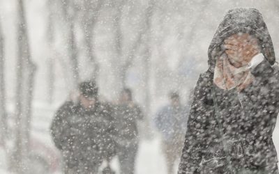 1769492766_index.jpeg - ReactMedia