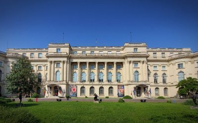 20250605_095126_res_1.jpg - ReactMedia