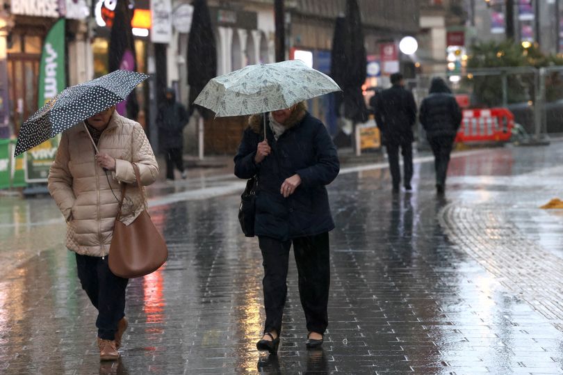 3bd14adc6bfe8b46b86507f7e823b499.jpeg - ReactMedia