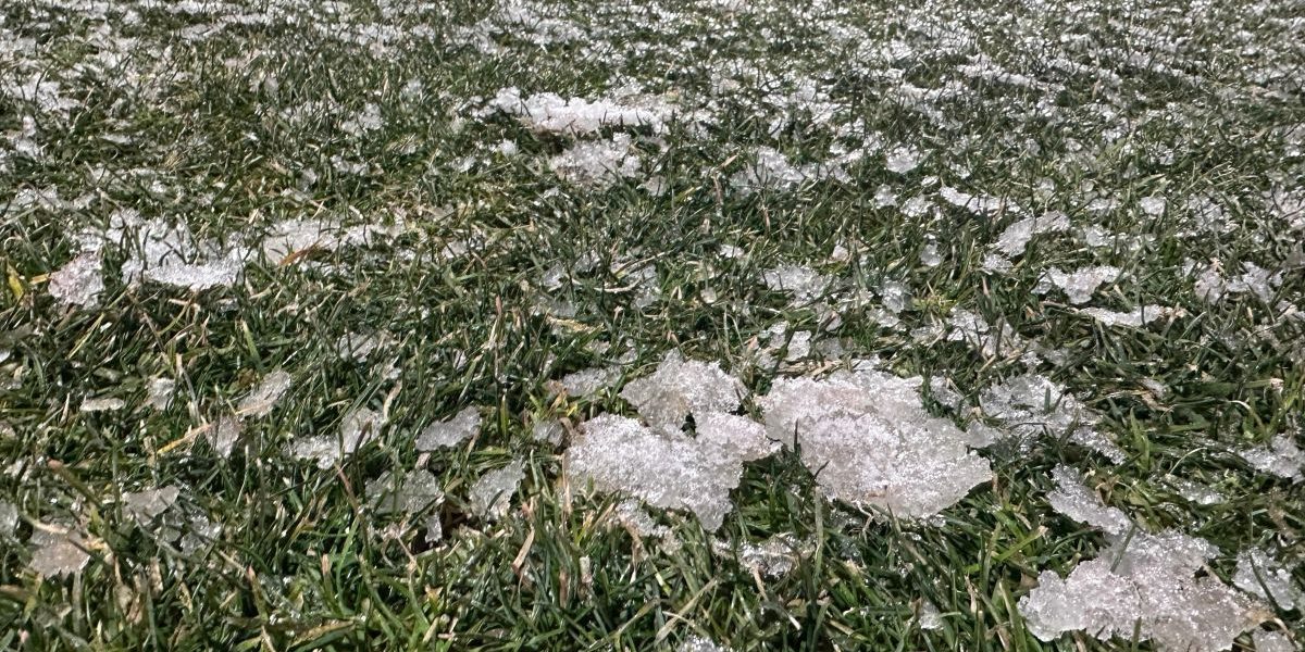 42065d78-f782-47fe-b013-95fc3fd4a5db.jpg - ReactMedia