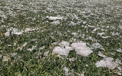 42065d78-f782-47fe-b013-95fc3fd4a5db.jpg - ReactMedia