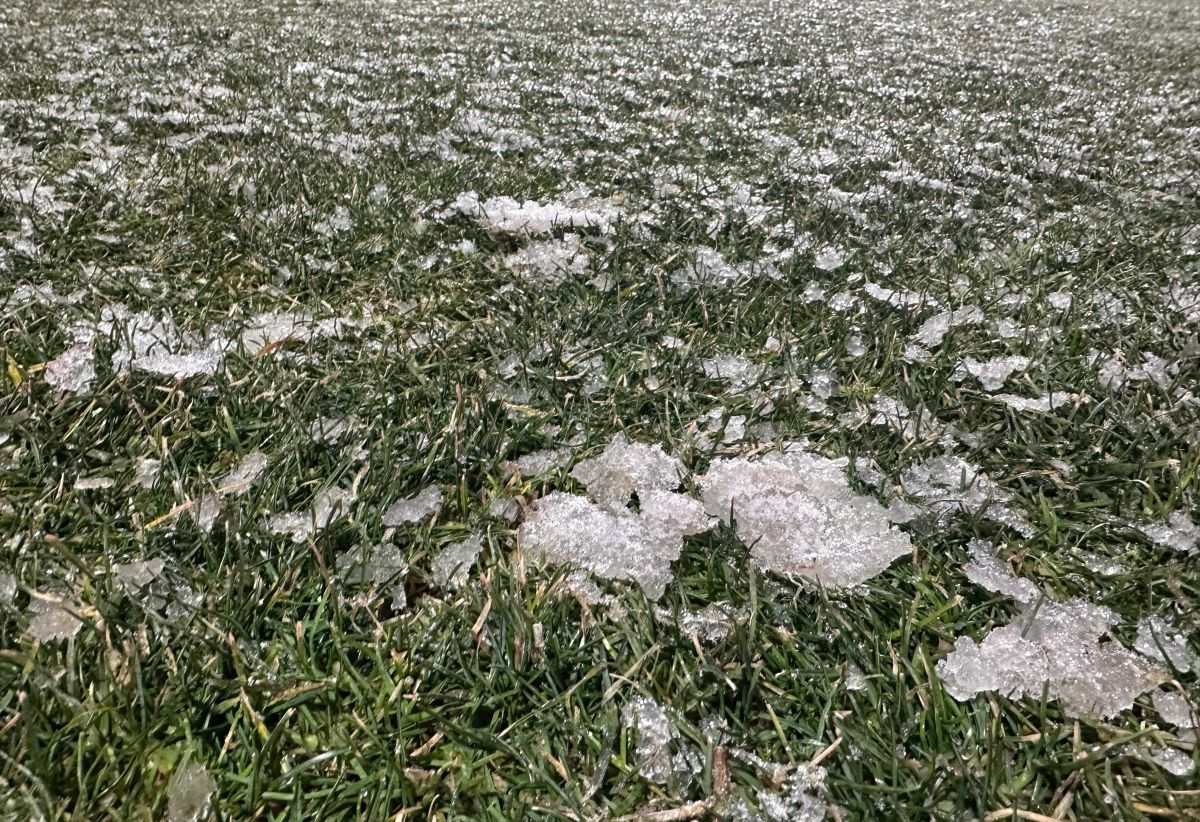 Fotbaliștii FCSB, gest emoționant pe terenul de la Mioveni