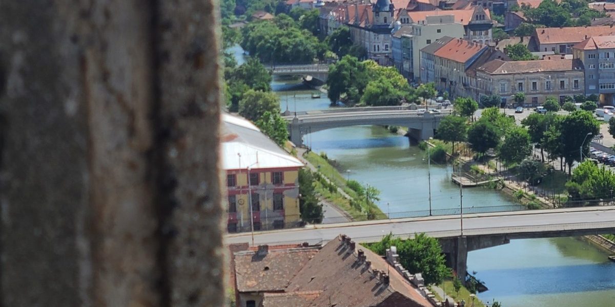 459685130_1051412149687601_4381914812207648563_n.jpg - ReactMedia