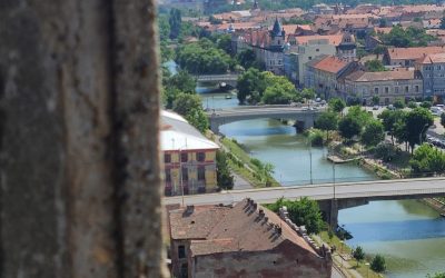 459685130_1051412149687601_4381914812207648563_n.jpg - ReactMedia