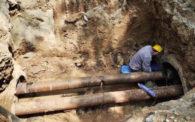 518412333_768697875677461_1234440796855824782_n-2.jpg - ReactMedia