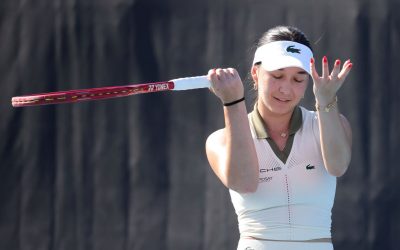 5250afb2-5712-401f-a5d8-9312d9c30806.jpg - ReactMedia