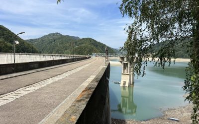 544534109_4161384237480986_8025794964716686930_n.jpg - ReactMedia