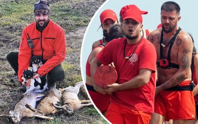 59c75192-65d8-4fed-bd19-8d614f35e5dc.jpg - ReactMedia