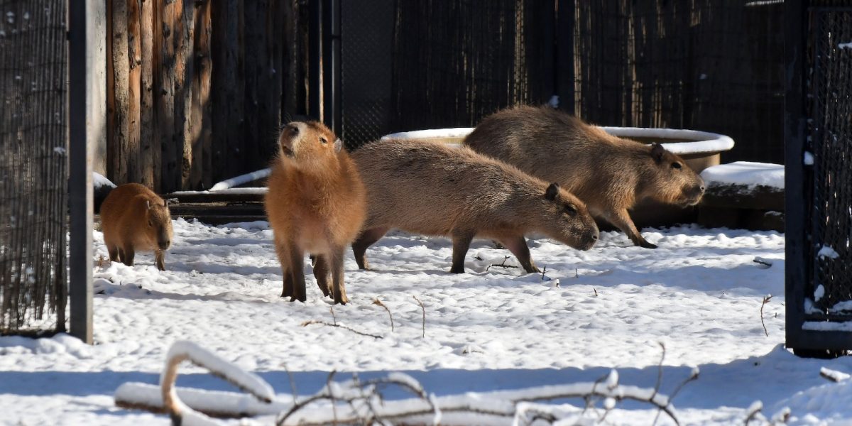 614370520_1220176896956679_1214751046734950909_n.jpg - ReactMedia