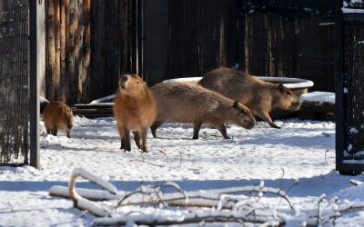 614370520_1220176896956679_1214751046734950909_n.jpg - ReactMedia