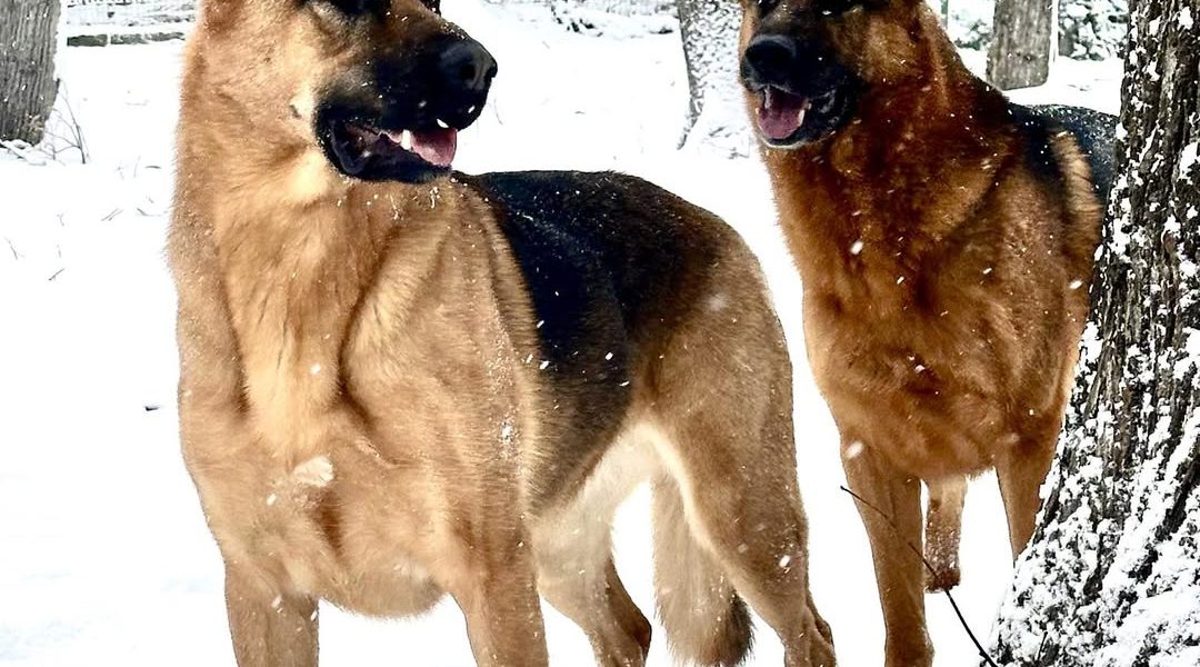 614862386_1473170691474745_5015169552524529986_n.jpg - ReactMedia