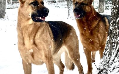 614862386_1473170691474745_5015169552524529986_n.jpg - ReactMedia