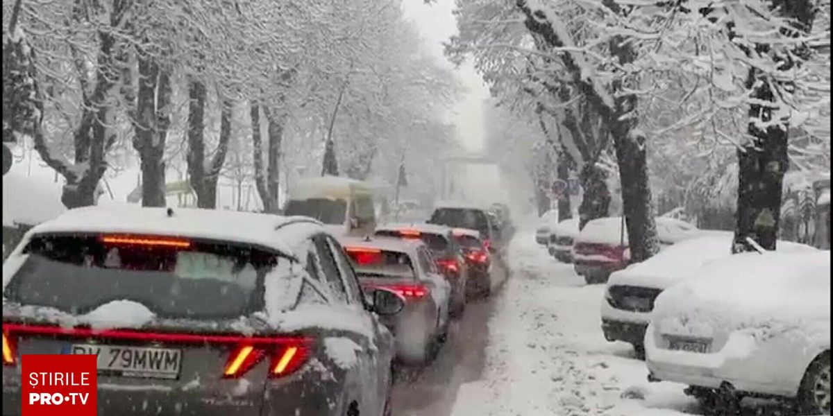 62603458-2.jpg - ReactMedia