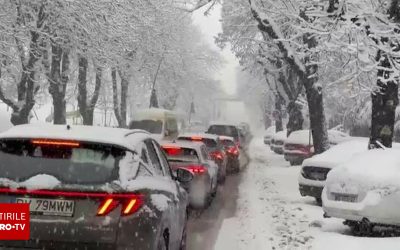 62603458-2.jpg - ReactMedia