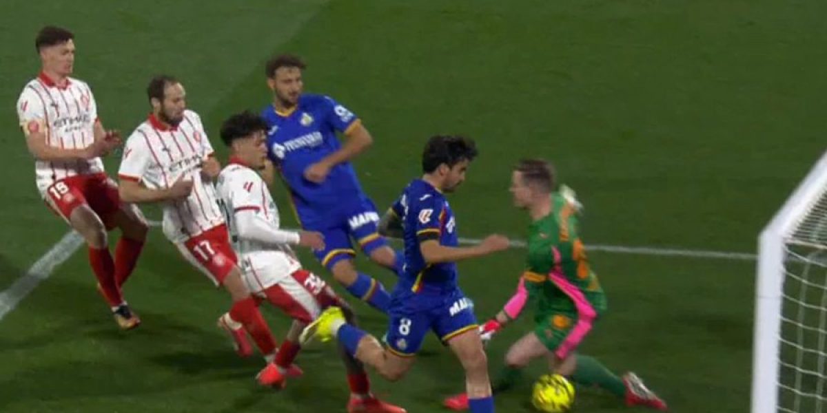 6977f6e37aaf8.jpeg - ReactMedia