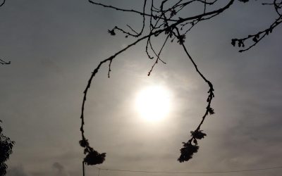 71fb0cbfa5cf6e96eac62ca6ac42ab55.jpeg - ReactMedia