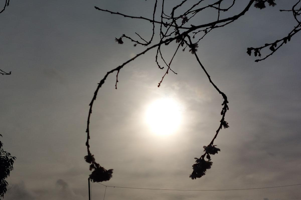 Prognoza meteo pentru weekend în Wharfedale: vreme capricioasă!