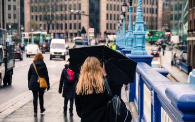 7a631177b14daec3a68663d5deeb658b.jpeg - ReactMedia