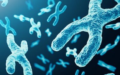 9f2a2e04a053cda7a8c096e532e43d28.jpeg - ReactMedia