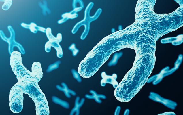 9f2a2e04a053cda7a8c096e532e43d28.jpeg - ReactMedia