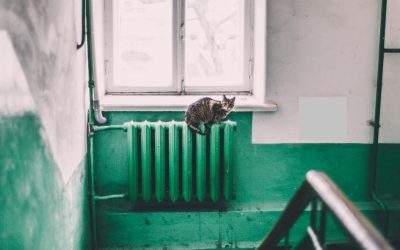 Calorifer-pexels-maria-orlova-4946714.jpg - ReactMedia