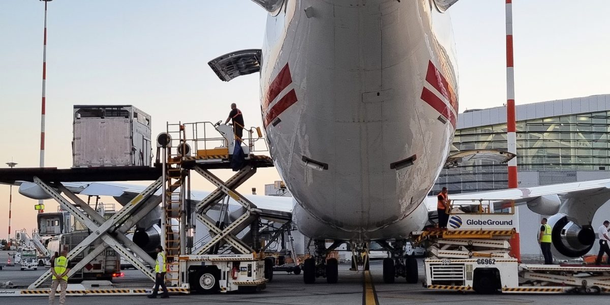 Captura-de-ecran-2026-01-31-061618.jpg - ReactMedia