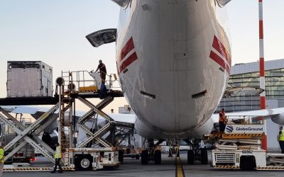 Captura-de-ecran-2026-01-31-061618.jpg - ReactMedia