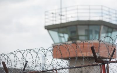 FB1A1091.jpg - ReactMedia