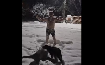 Heius-in-Zapada-3.jpg - ReactMedia