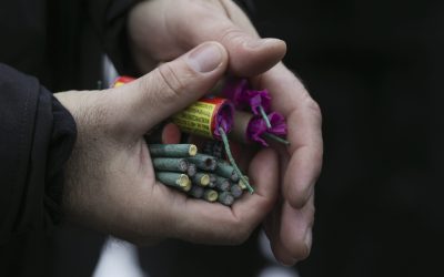 ID129394_INQUAM_Photos_Octav_Ganea.jpg - ReactMedia