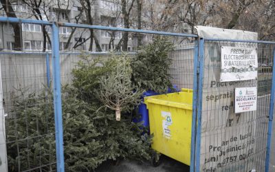 ID211408_INQUAM_Photos_Octav_Ganea-scaled.jpg - ReactMedia