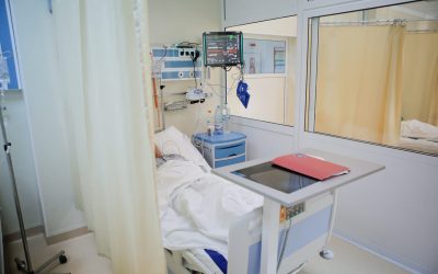 ID30977_INQUAM_Photos_George_Calin-scaled.jpg - ReactMedia