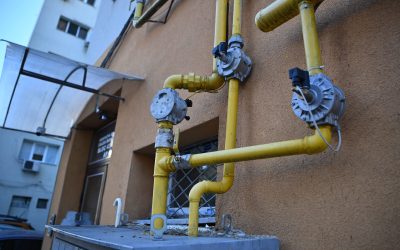 ID322394_INQUAM_Photos_Alex-Nicodim_-1600x1067-1-1.jpg - ReactMedia