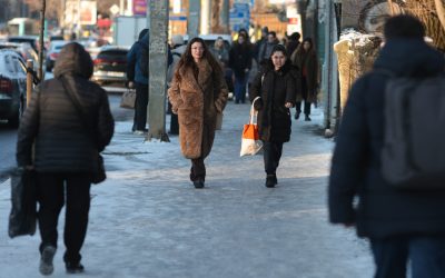 ID330504_INQUAM_Photos_George_Calin-scaled.jpg - ReactMedia