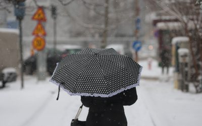 ID330607_INQUAM_Photos_George_Calin-1.jpg - ReactMedia