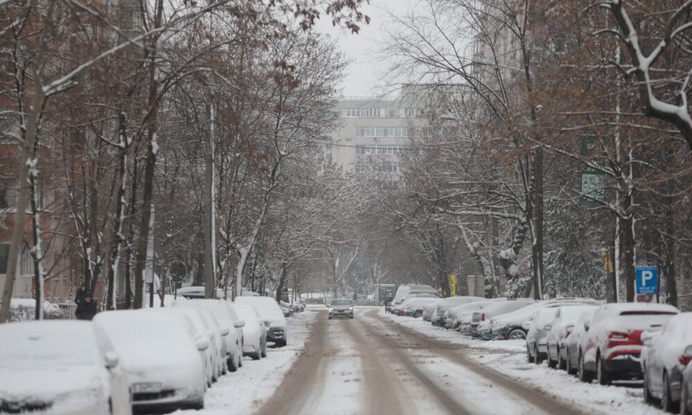 ID330609_INQUAM_Photos_George_Calin-1000x667.jpg - ReactMedia