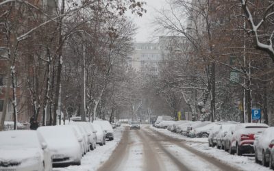 ID330609_INQUAM_Photos_George_Calin-1000x667.jpg - ReactMedia