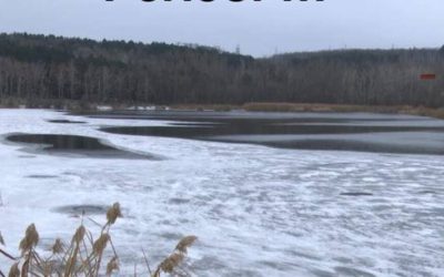 Lacurile-din-Ilfov-inghetate-acces-interzis-a.jpg - ReactMedia