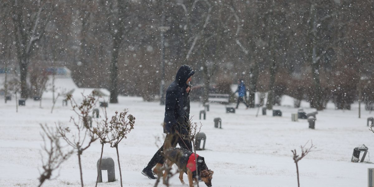 Ninsoare-in-Bucuresti-parcul-IOR.jpg - ReactMedia