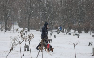 Ninsoare-in-Bucuresti-parcul-IOR.jpg - ReactMedia